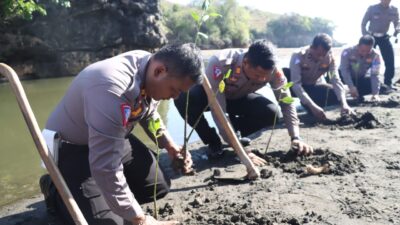 Aksi Peduli Lingkungan, Polres Blitar Tanam Puluhan Ribu Mangrove dan Lepas Tukik ke Pantai