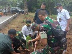 Dukung Penghijauan dan Peduli Lingkungan, Jajaran Kostrad Bersama KPH Bondowoso Laksanakan Penanaman Pohon
