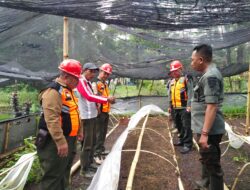 Jajaran Perhutani Bondowoso Melakukan Pemeriksaan Secara Langsung ke Lokasi Pembibitan