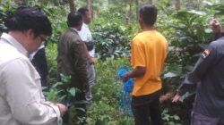 Dinas Kehutanan Provinsi Jatim Melaksanakan Kunker Guna Mempelajari Pengelolaan Kopi di Perhutani KPH Bondowoso