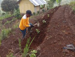 Edy Susanto Pemerhati Lingkungan Melakukan Reboisasi Kawasan Hutan Petak 6 RPH Sumbermalang
