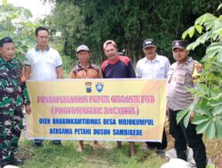 Polisi Sahabat Petani, Panen Raya Berkat Inovasi Pak Bhabin di Kota Mojokerto