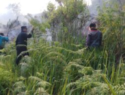 Sinergitas TNI Polri Dan Stick Holder Berhasil Padamkan Kebakaran Hutan Lindung di Kawasan  Ijen